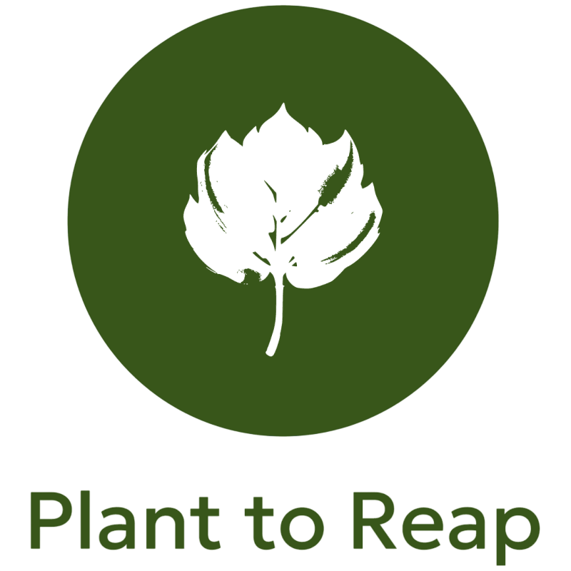 Plant to Reap